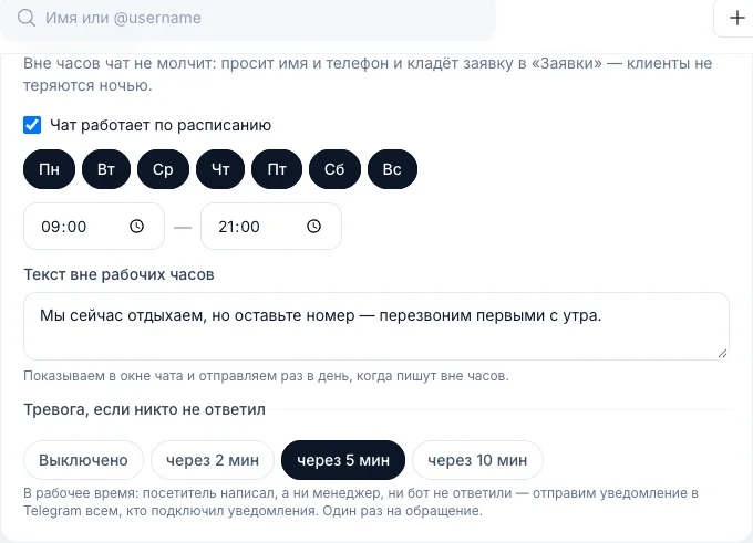 Рабочие часы чата